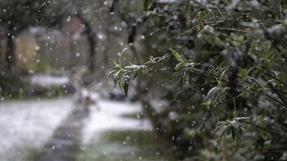 Vremea se schimbă radical de luni: vine un val de aer rece cu ninsoare și temperaturi mult mai mici
