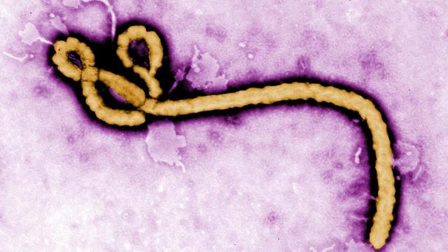 Epidemia de Ebola din RD Congo a depășit 7.000 de cazuri, virusul ajungând într-o nouă provincie