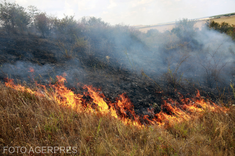 Incendiu masiv de pădure în Bulgaria: Aproximativ 200 de hectare de pădure au fost distruse lângă Gurkovo