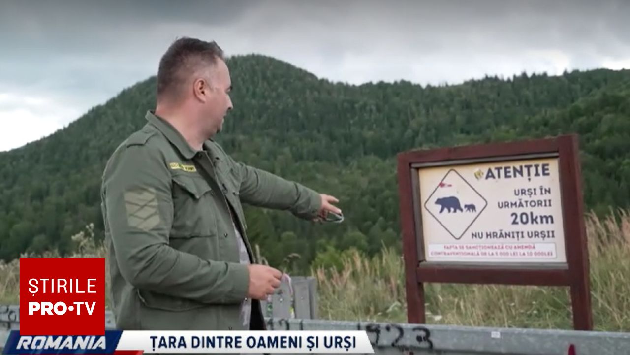 Conflictul dintre oameni și urși în România rămâne fără soluții concrete