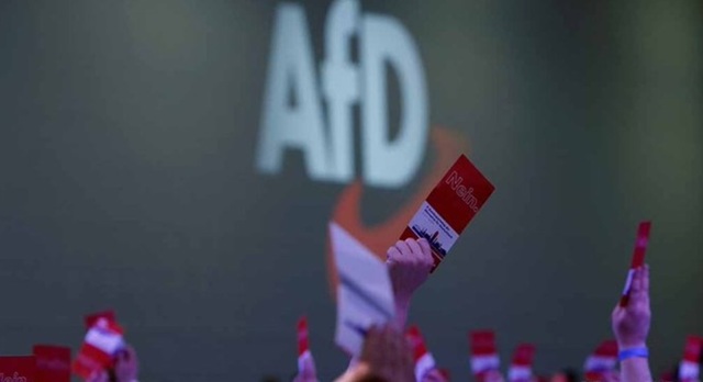 Germania: Partidul AfD câștigă un nou scrutin regional, punând presiune pe cancelarul Friedrich Merz
