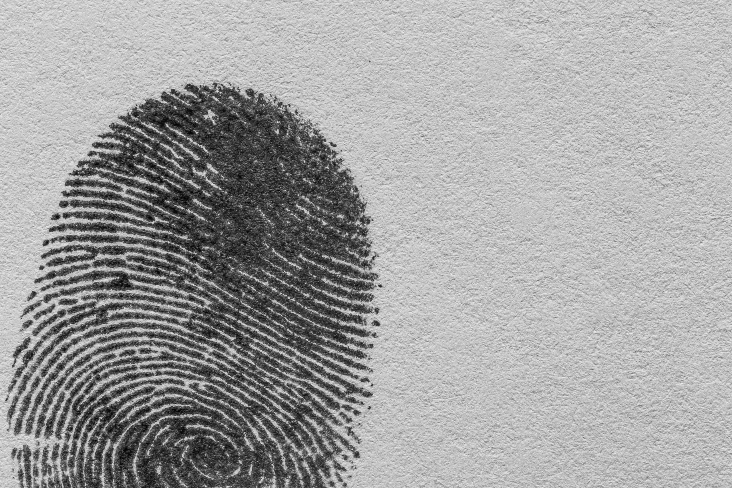 Descoperire arheologică majoră: 142 de mărgele din lut arată începutul ornamentației în Neolit