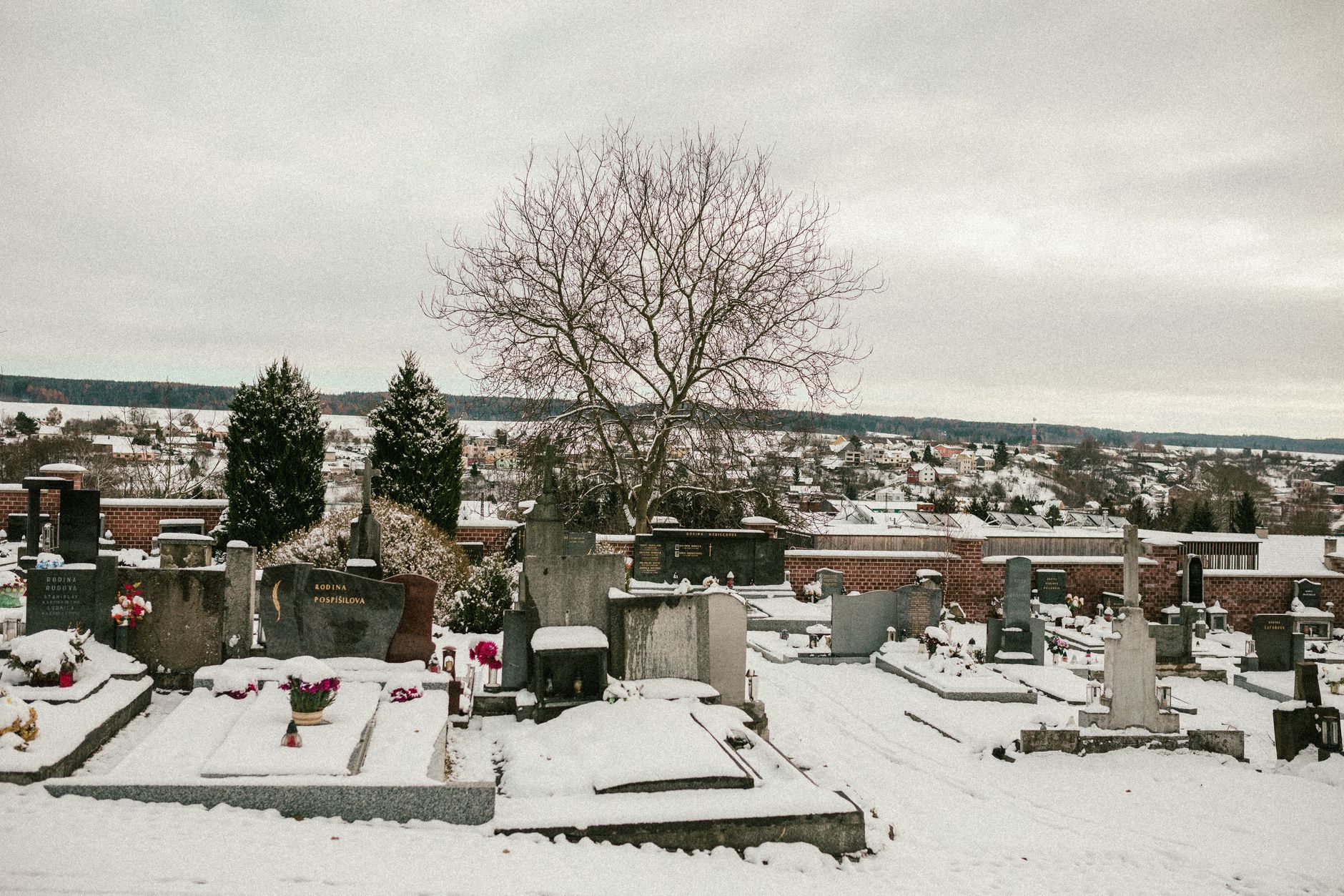 Scandal la cimitirul Streharăți din Slatina: Primarul acuză existența unor gropi comune cu cadavre de COVID