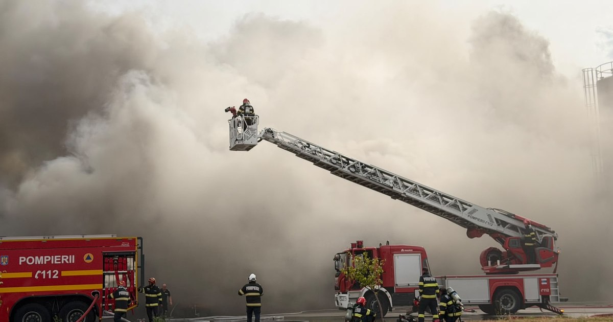 Incendiu masiv la o fabrică de celuloză din Drobeta-Turnu Severin, în județul Mehedinți