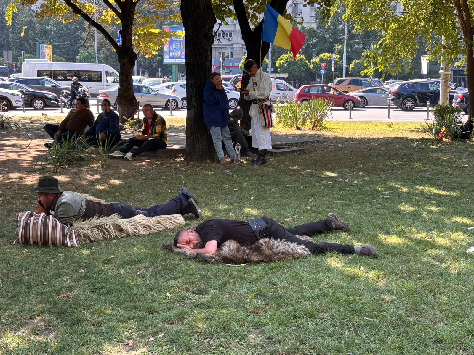 Descinderi cu mascații în județul Vaslui după protestele de la București. Ciobanii sunt vizați de anchetatori