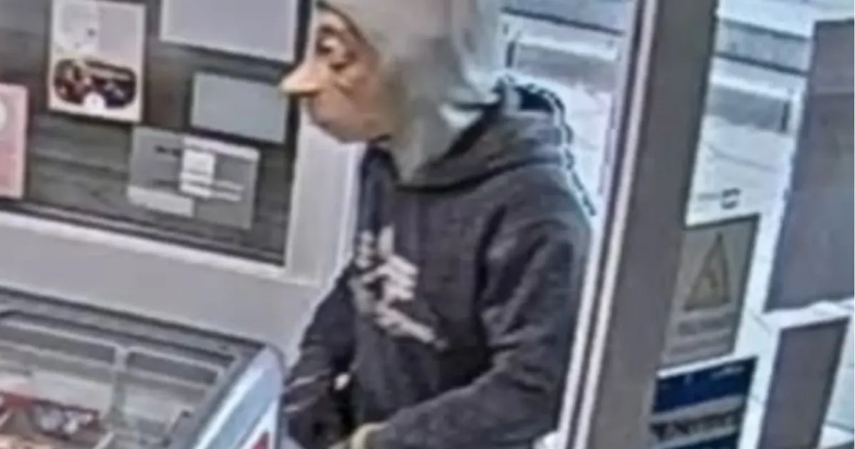 Poliția din Germania caută un tâlhar care a jefuit o benzinărie purtând o mască cu personajul Dobby