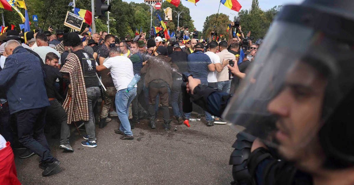 Reguli și limite ale dreptului la protest: ce este permis conform legii pentru cetățeni