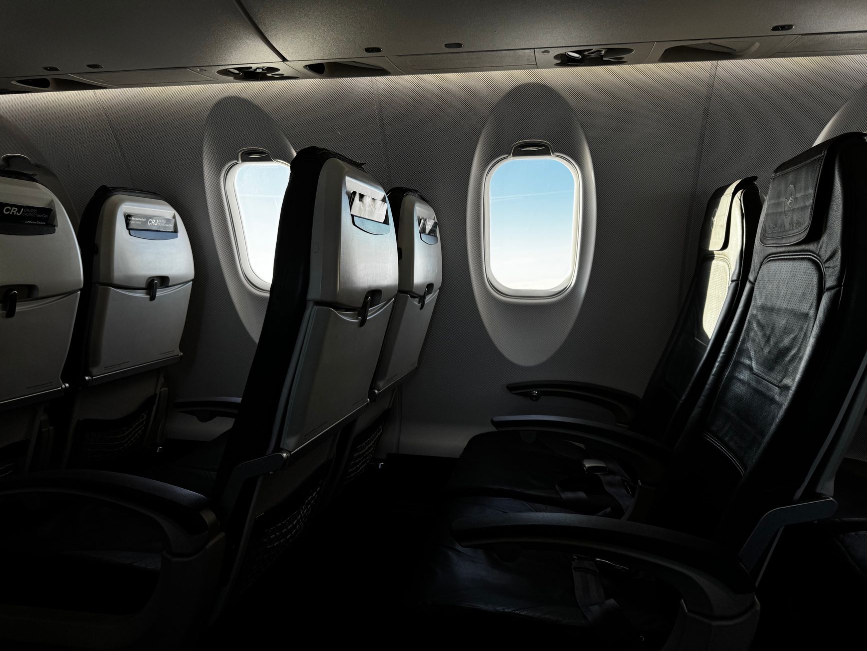 Călătoria cu animale de companie în avion: care companii aeriene permit transportul în cabină
