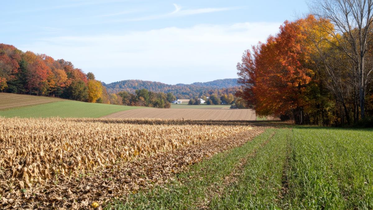 Noul an agricol începe cu deficit de precipitații în România. Vești proaste pentru agricultori