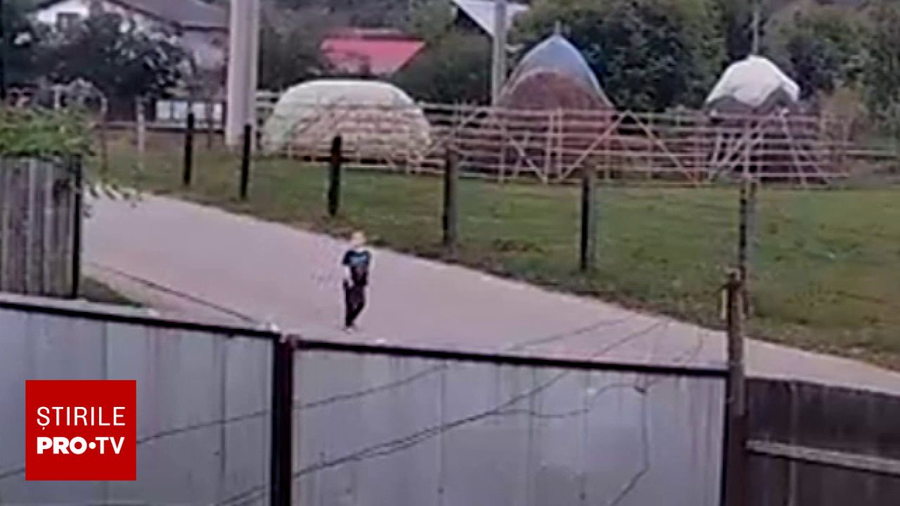 Misiune de căutare masivă în Dofteana pentru un băiețel de 4 ani dispărut