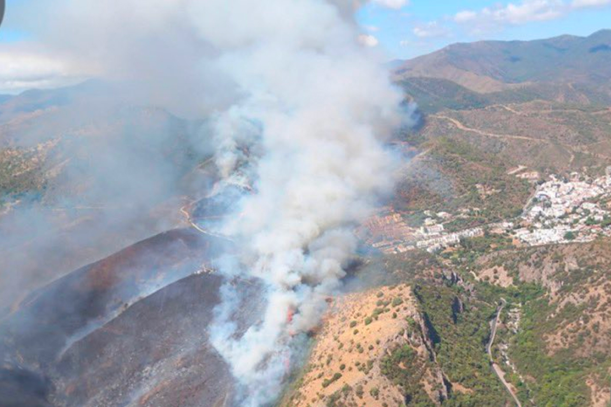 Incendiu de vegetație masiv în Spania: 9.500 de persoane sunt în alertă lângă Marbella