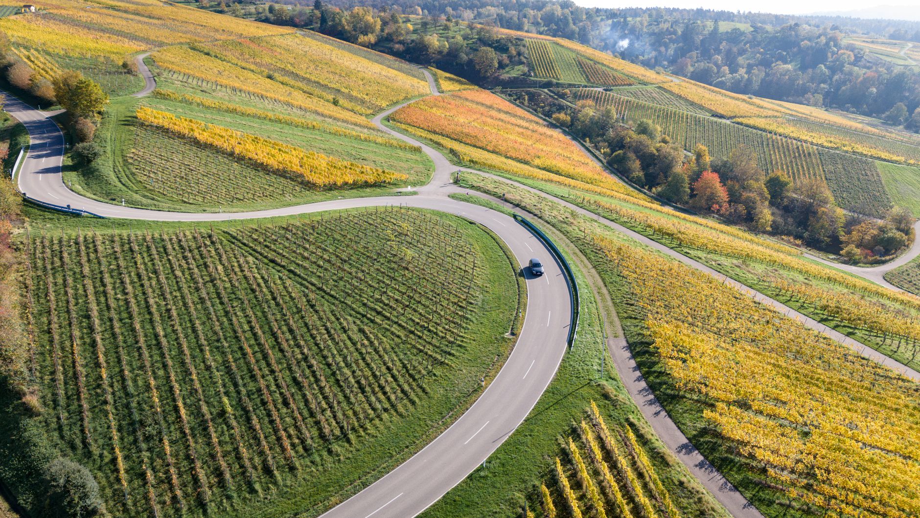 Traseu de toamnă prin Bavaria: de la podgoriile din Würzburg la orașul celor trei râuri, Passau