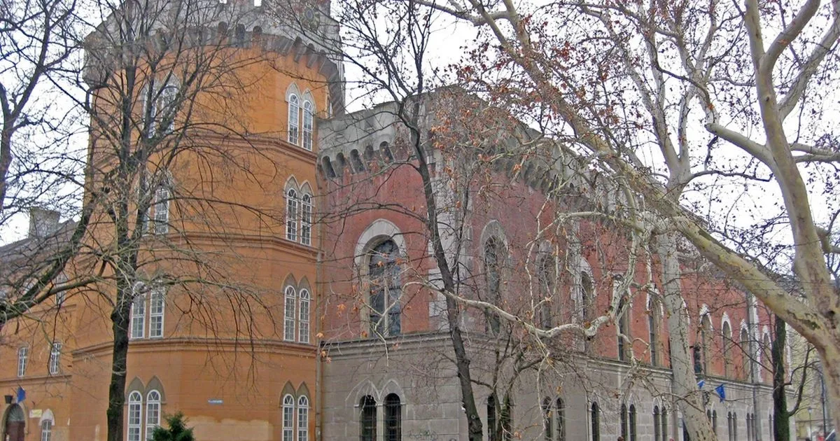 Castelul Huniade din Timișoara este cea mai veche construcție de acest fel din România