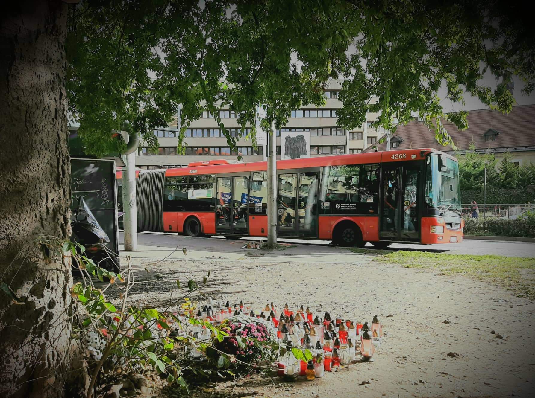 Accident cu patru mașini în Ploiești: o femeie a fost rănită după o coliziție pe strada Romană