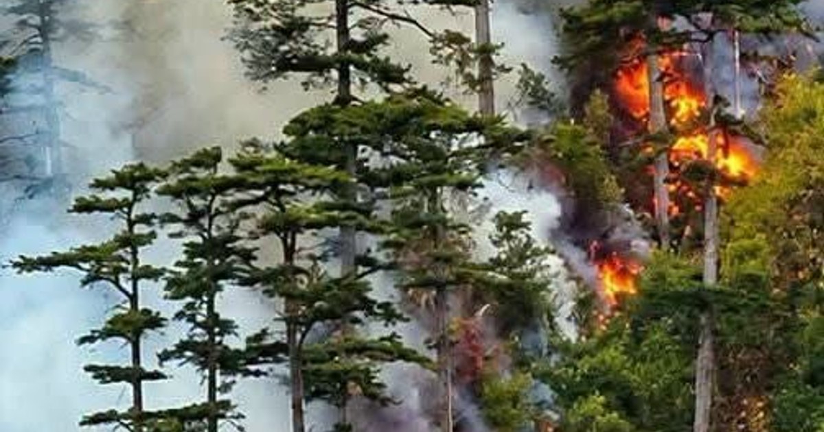 Incendiu masiv în Parcul Național Domogled – Valea Cernei: două elicoptere din rezerva rescEU intră în acțiune