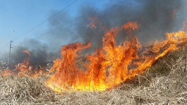 Incendiu masiv în Parcul Național Domogled: 400 de hectare de pădure sunt afectate