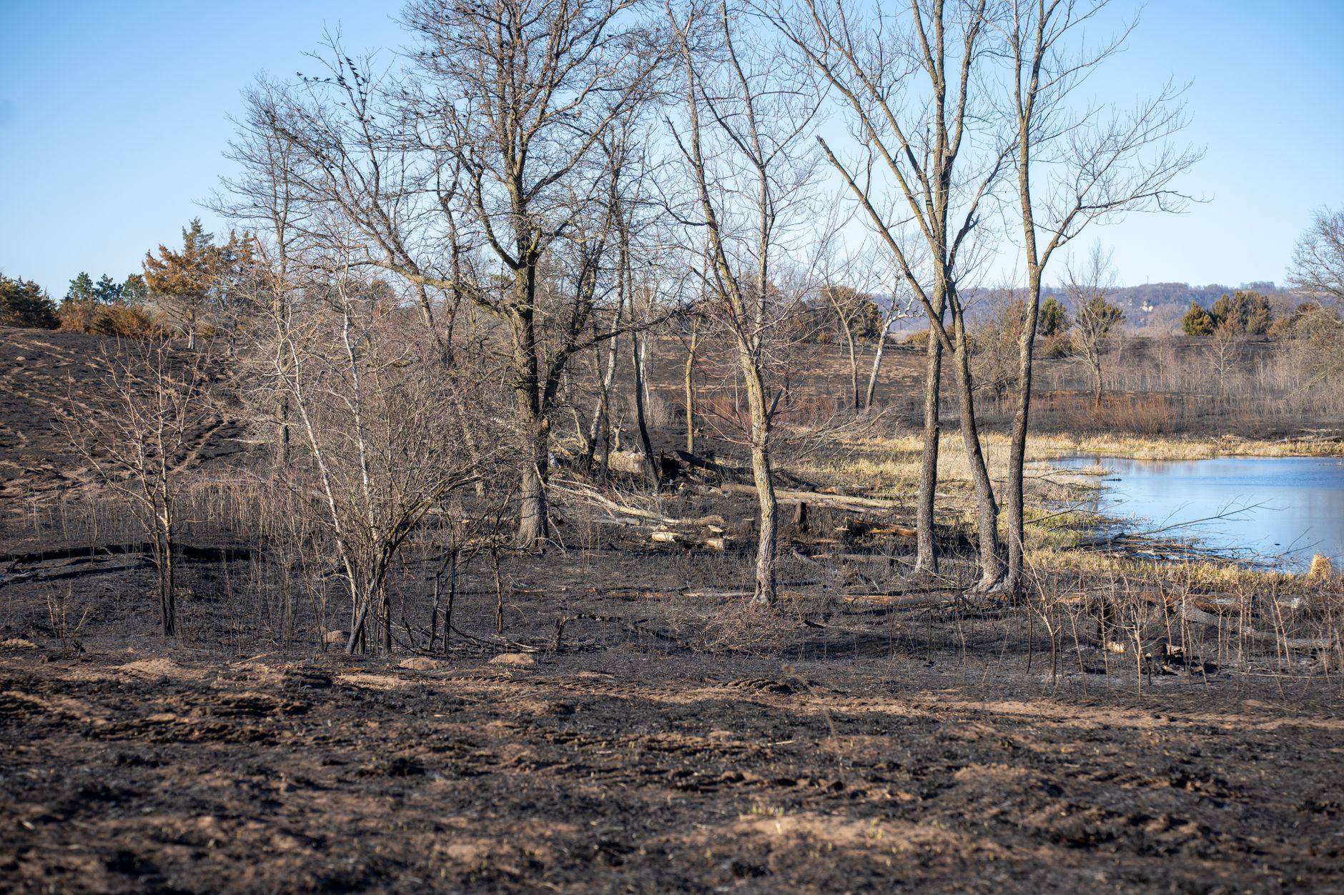 Fragmente ale unei posibile drone găsite în Insula Mare a Brăilei, după un incendiu pe un teren agricol