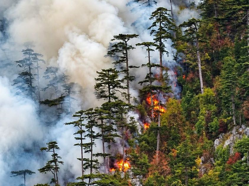 Incendiu masiv în Parcul Național Domogled-Valea Cernei: ard 400 de hectare de pădure