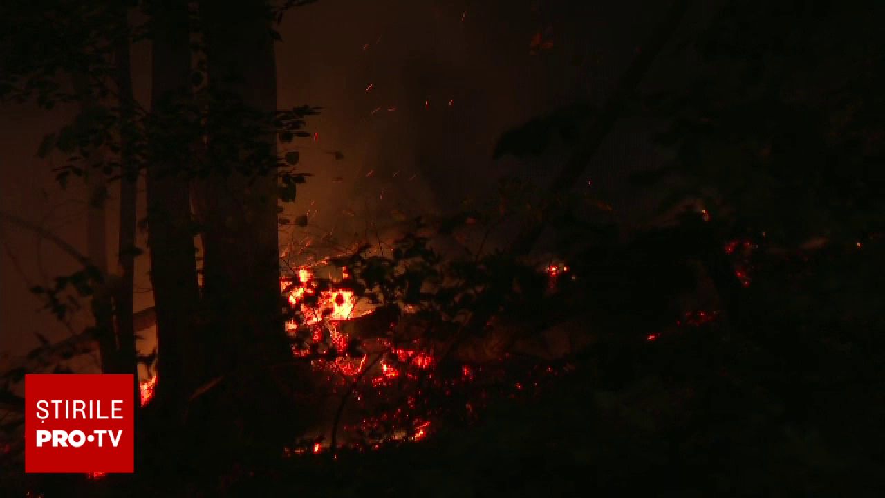 Incendiul de lângă Băile Herculane se extinde: peste 400 de hectare de pădure sunt devastate
