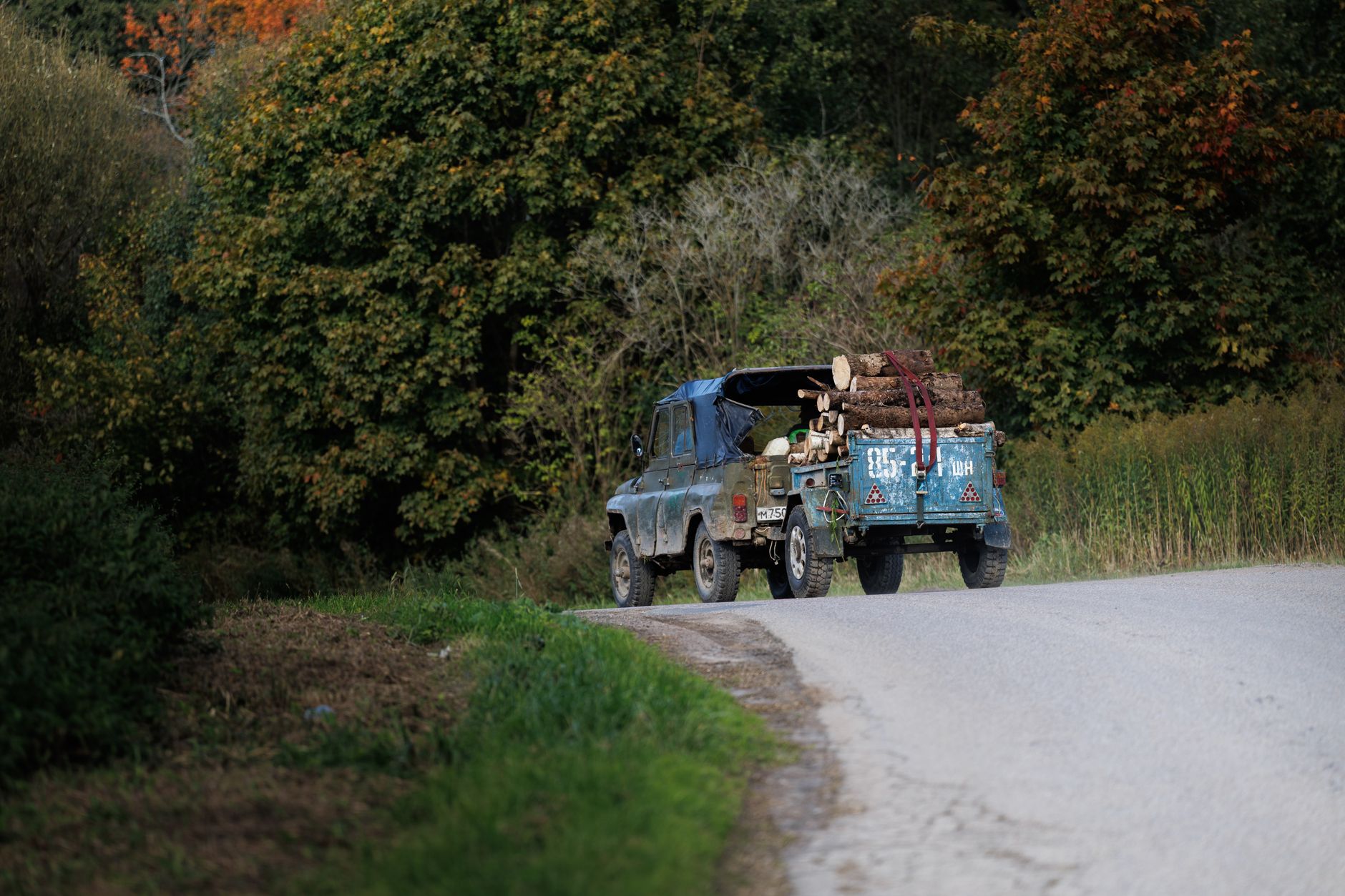 Exploatarea forestieră în România: volumul de lemn a crescut cu 7,5% în anul 2025