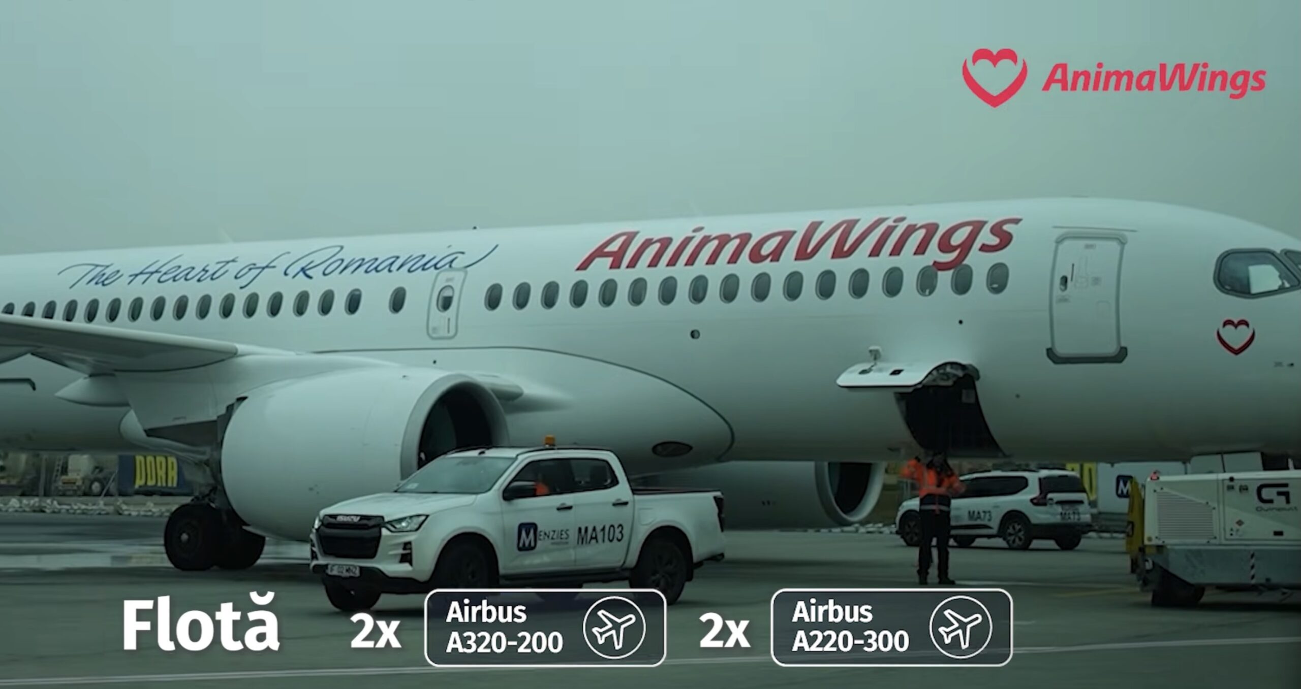 Compania aeriană AnimaWings a cerut insolvența după problemele financiare și anulările de zboruri