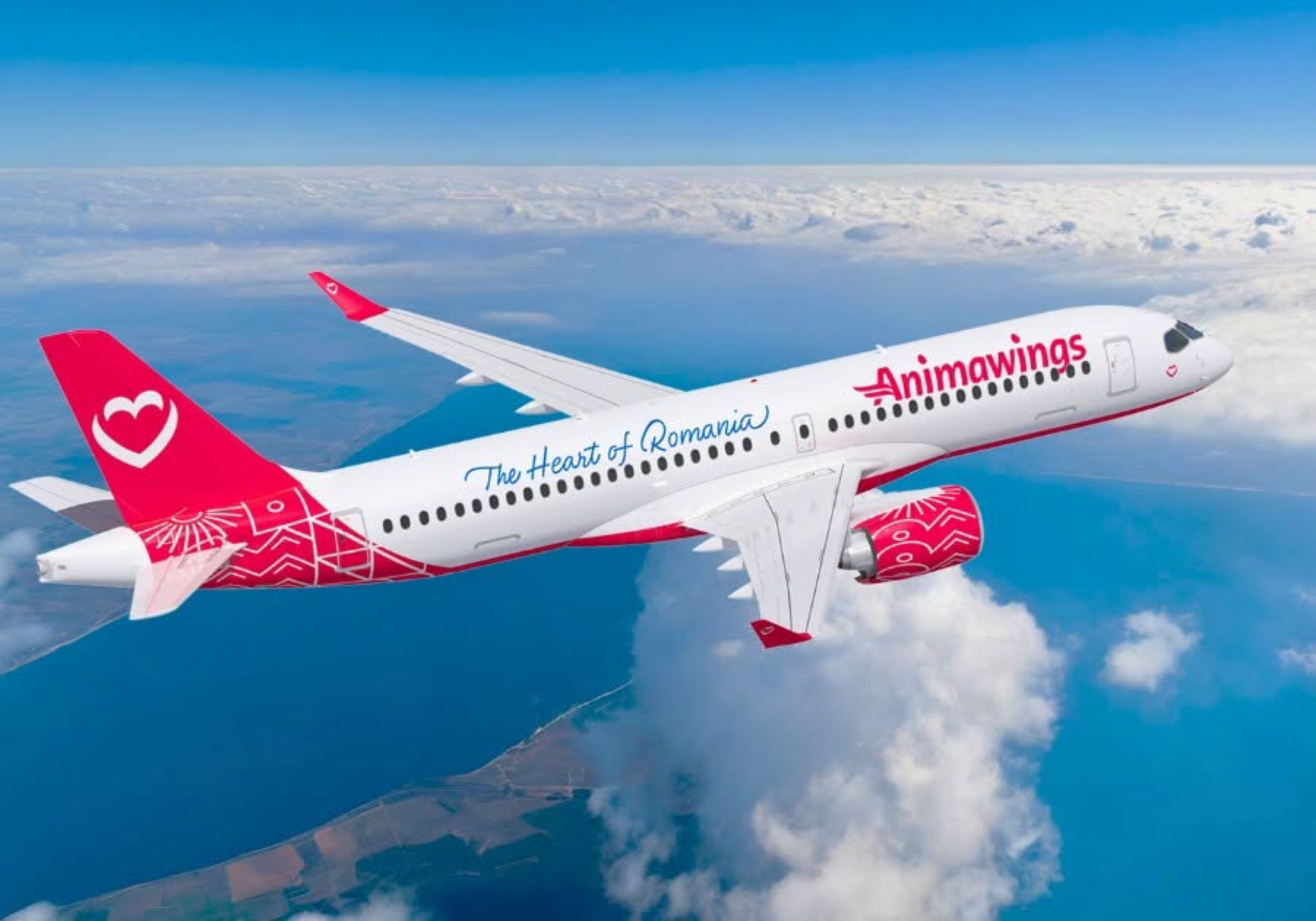 AnimaWings cere insolvența după ce a scos din operare șase avioane din flotă