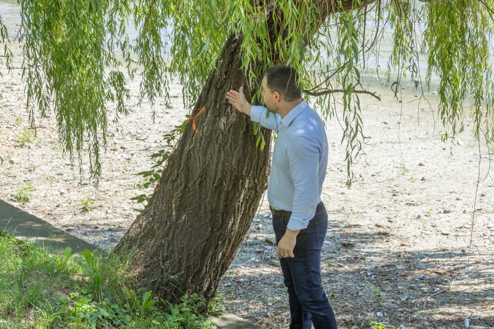 Lucrările de consolidare la Lacul Herăstrău au încetinit: Primarul Ciucu a cerut modificarea proiectului