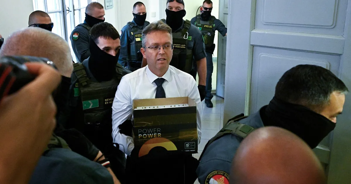 Balázs Hankó, fost ministru din Ungaria și deputat Fidesz, a fost arestat