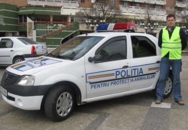 11 câini salvați de polițiștii din Caraș-Severin după ce au rămas fără hrană și apă