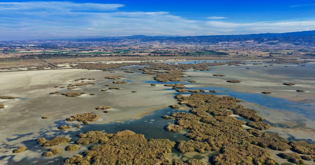 Lacul Koroneia din Grecia a pierdut peste 90% din suprafață în ultimul deceniu