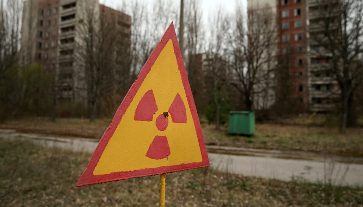 Floarea-soarelui poate absorbi radiația: cum au fost folosite plantele după dezastrele de la Cernobîl și Fukushima