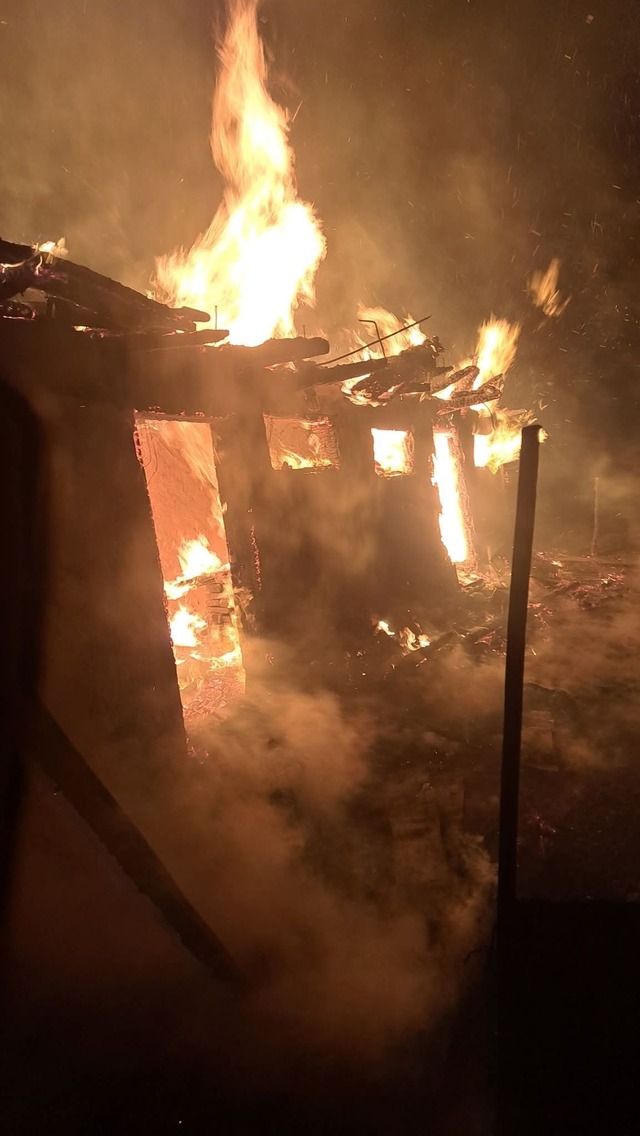 Incendiu suspect în județul Neamț: Un adăpost de animale a fost complet distrus