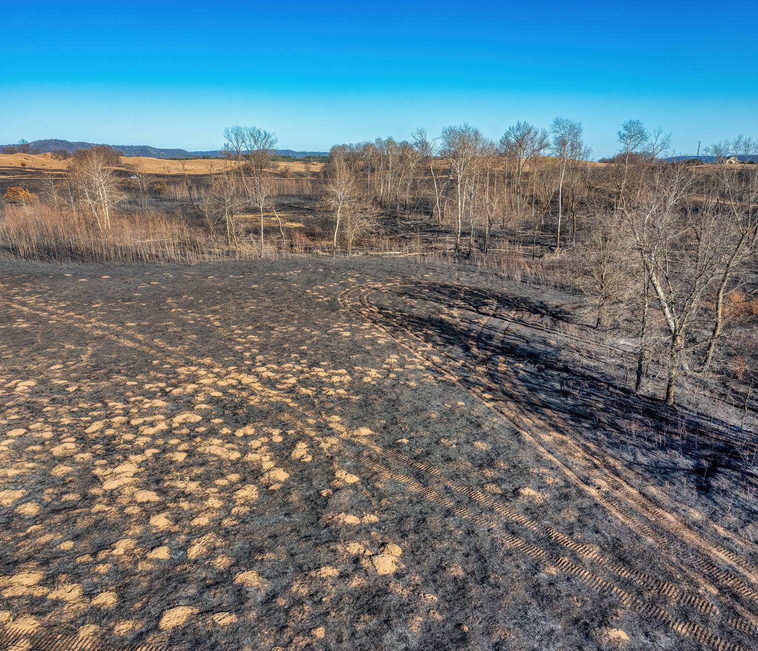 Monitorizare prin drone și satelit pentru pădurile din România: vine o nouă legislație împotriva incendiilor