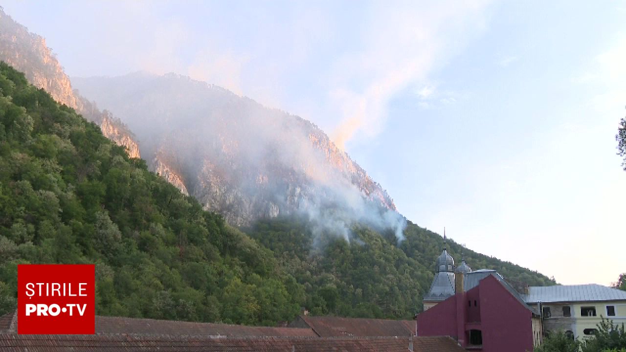 Dosar privind incendiul din Parcul Național Domogled: Organizația Agent Green solicită intervenția procurorilor