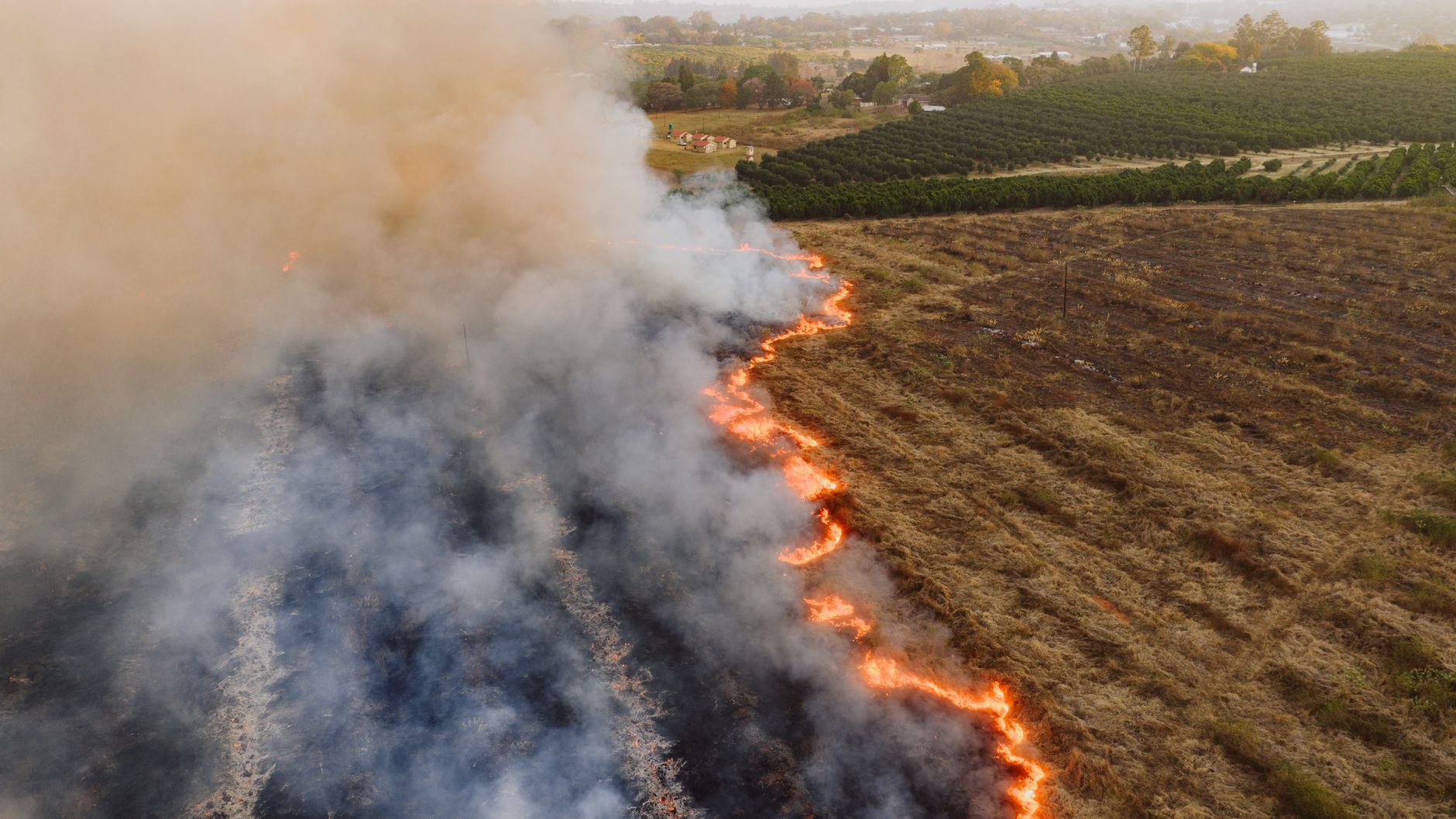 Șapte incendii de vegetație au afectat județul Timiș într-un interval de 24 de ore