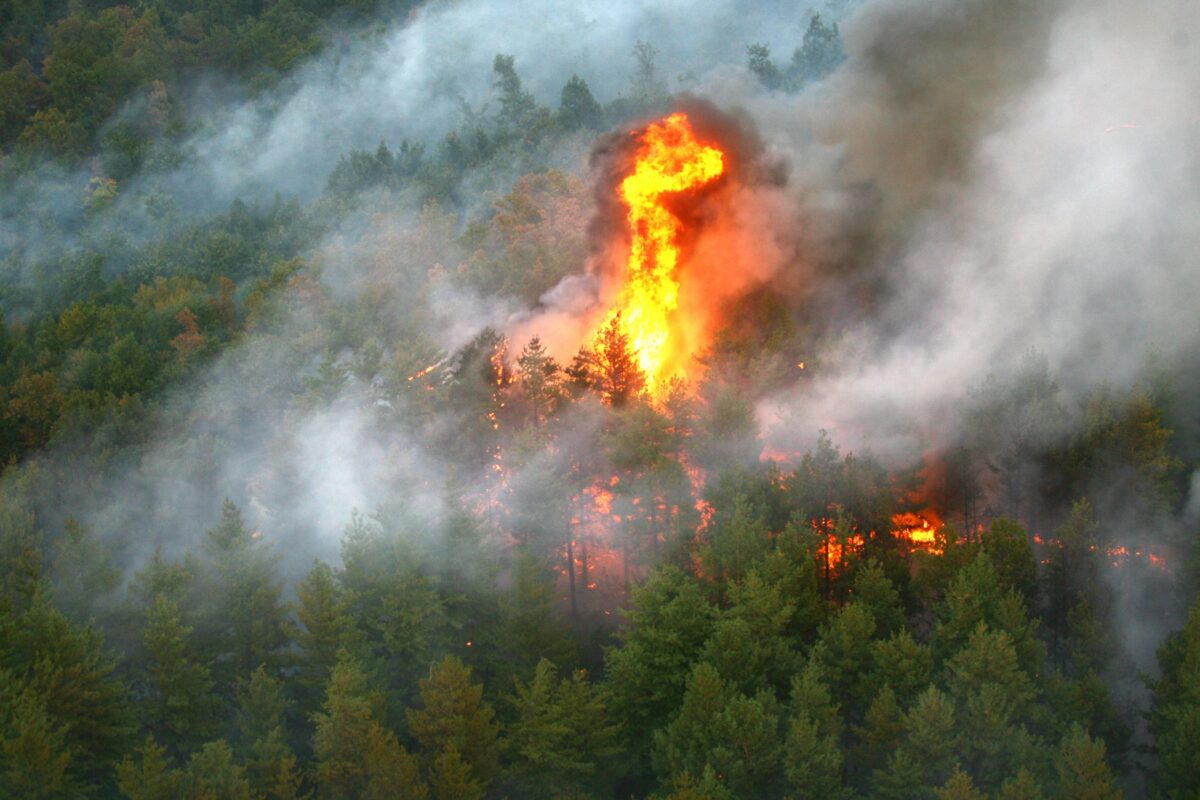 Plan de intervenție pentru incendiul din Parcul Național Retezat. Măsuri de urgență aprobate