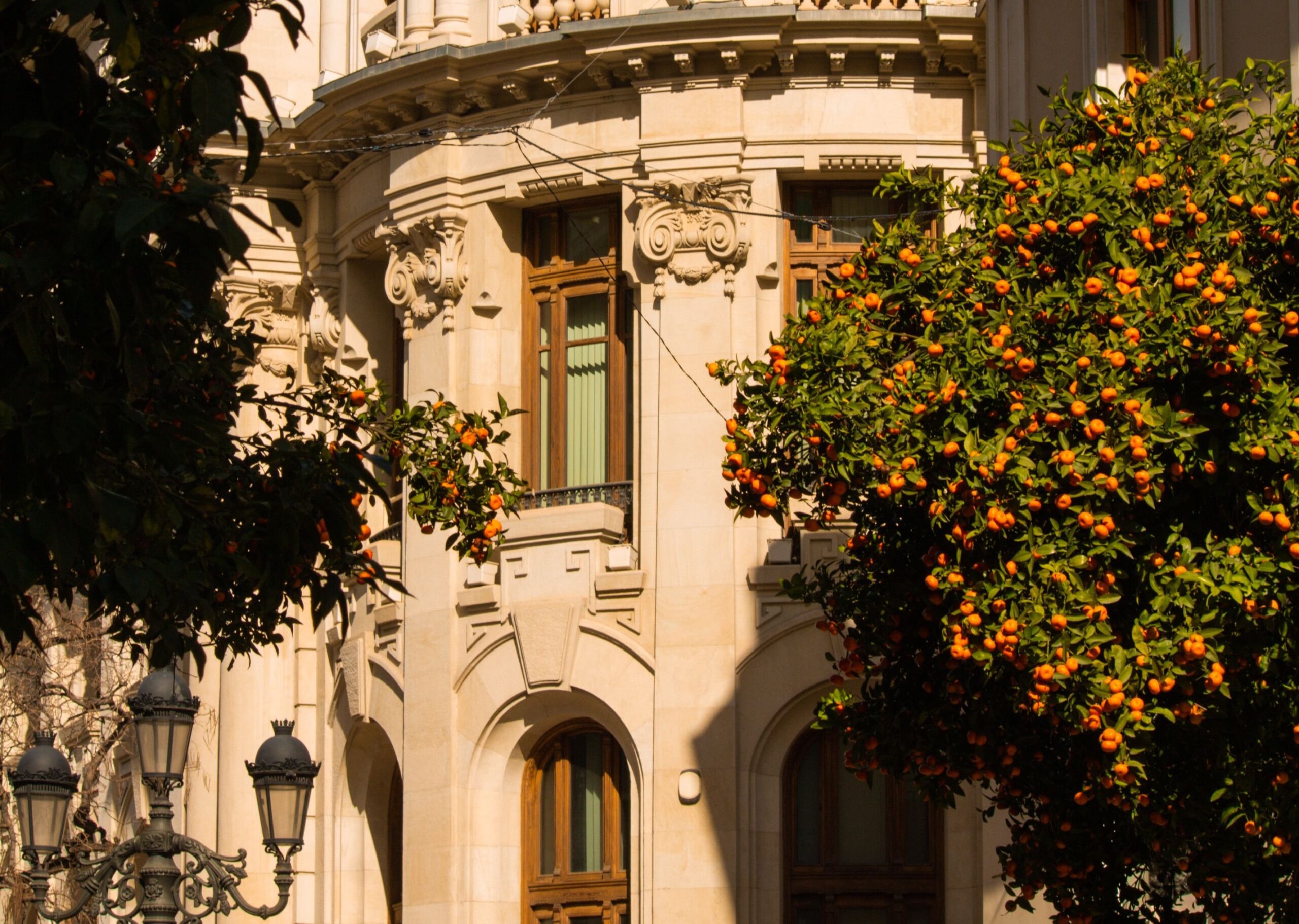 Experiența primei zile de școală în Spania: O comparație între Mislata și București
