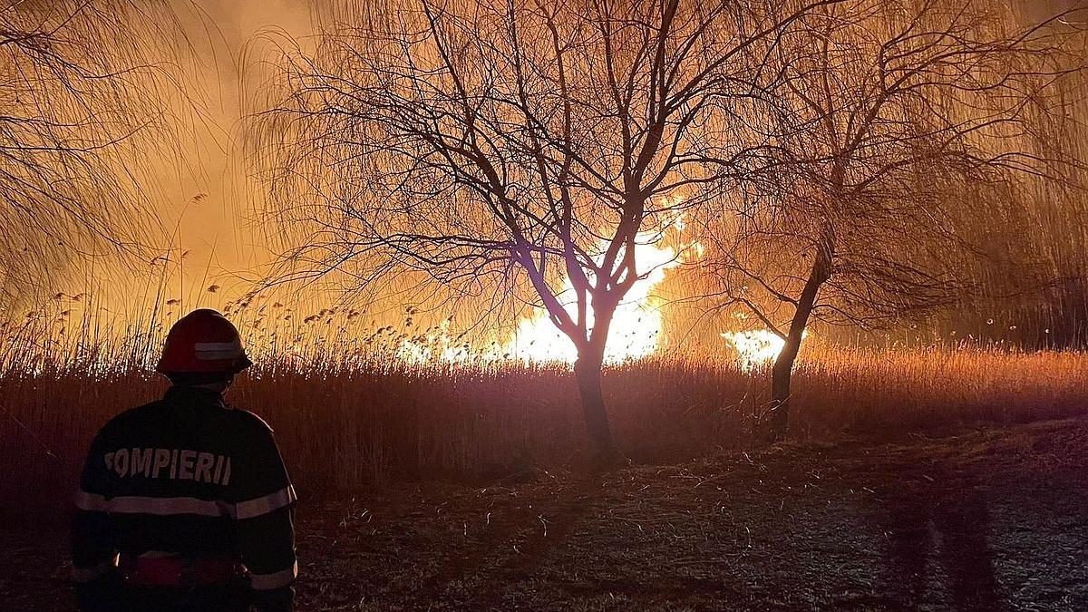 Val de incendii de vegetație în județul Timiș: 7 focare au aprins peste 44 de hectare