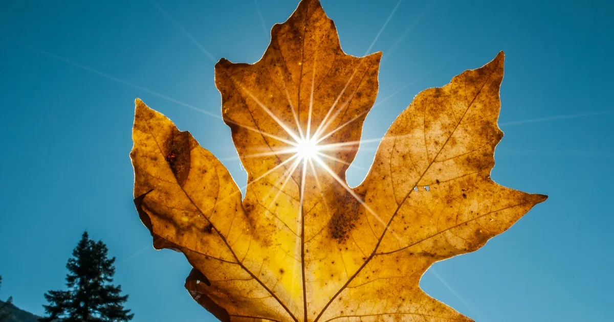 Prognoza meteo pentru România: Vreme caldă și temperaturi ridicate până la jumătatea lunii octombrie