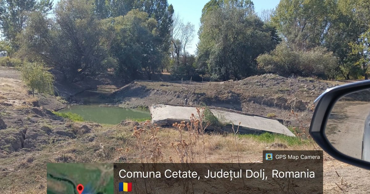 Ferma de bovine Black Angus a lui Gigi Nețoiu a fost amendată cu 40.000 de lei