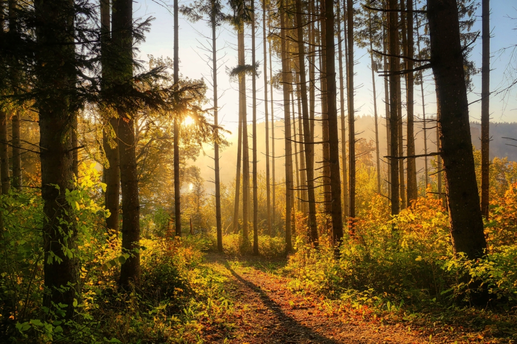 România va înregistra temperaturi peste normalul climatologic până la începutul lunii noiembrie