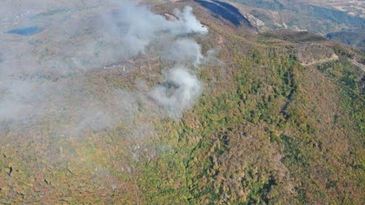 Echipele de intervenție luptă cu incendiul din zona Parcului Național Domogled – Valea Cernei