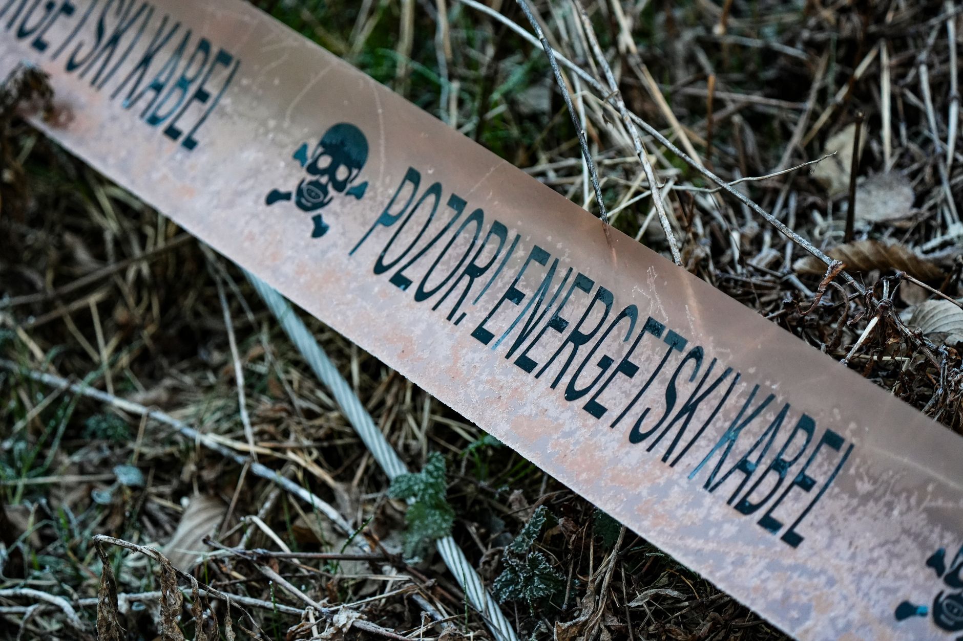Fostul lider al grupării „Brigada” din Torino, Viorel Oarză, a fost găsit împușcat într-o pădure din Holboca