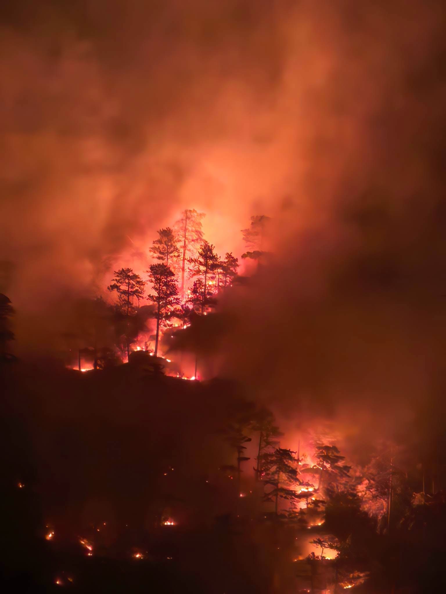 Intervenție masivă în Parcul Național Domogled: peste 140 de salvatori luptă cu incendiile