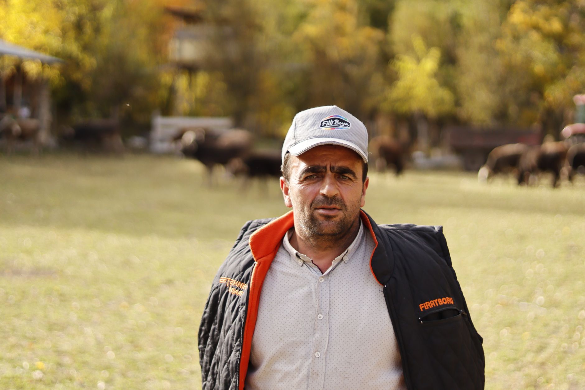 Posibilă reluare a exporturilor de animale vii către Libia după vizita unei delegații tehnice în România