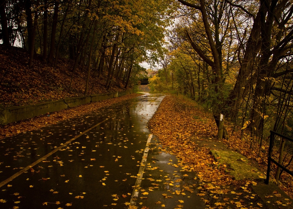 Prognoza meteorologică pentru următoarele patru săptămâni: vine perioada ploilor în România