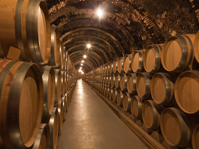 Jaf masiv la cea mai mare cramă de familie din Italia: au fost furate 30.000 de sticle de vin premium