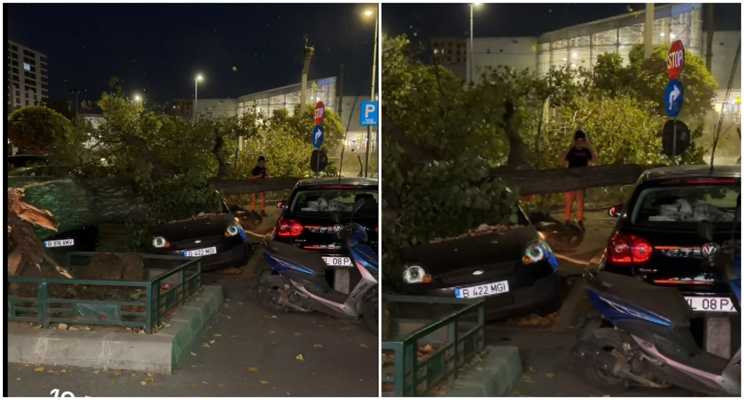 Un copac de mari dimensiuni s-a prăbușit peste mașini și un motociclist pe bulevardul Iuliu Maniu