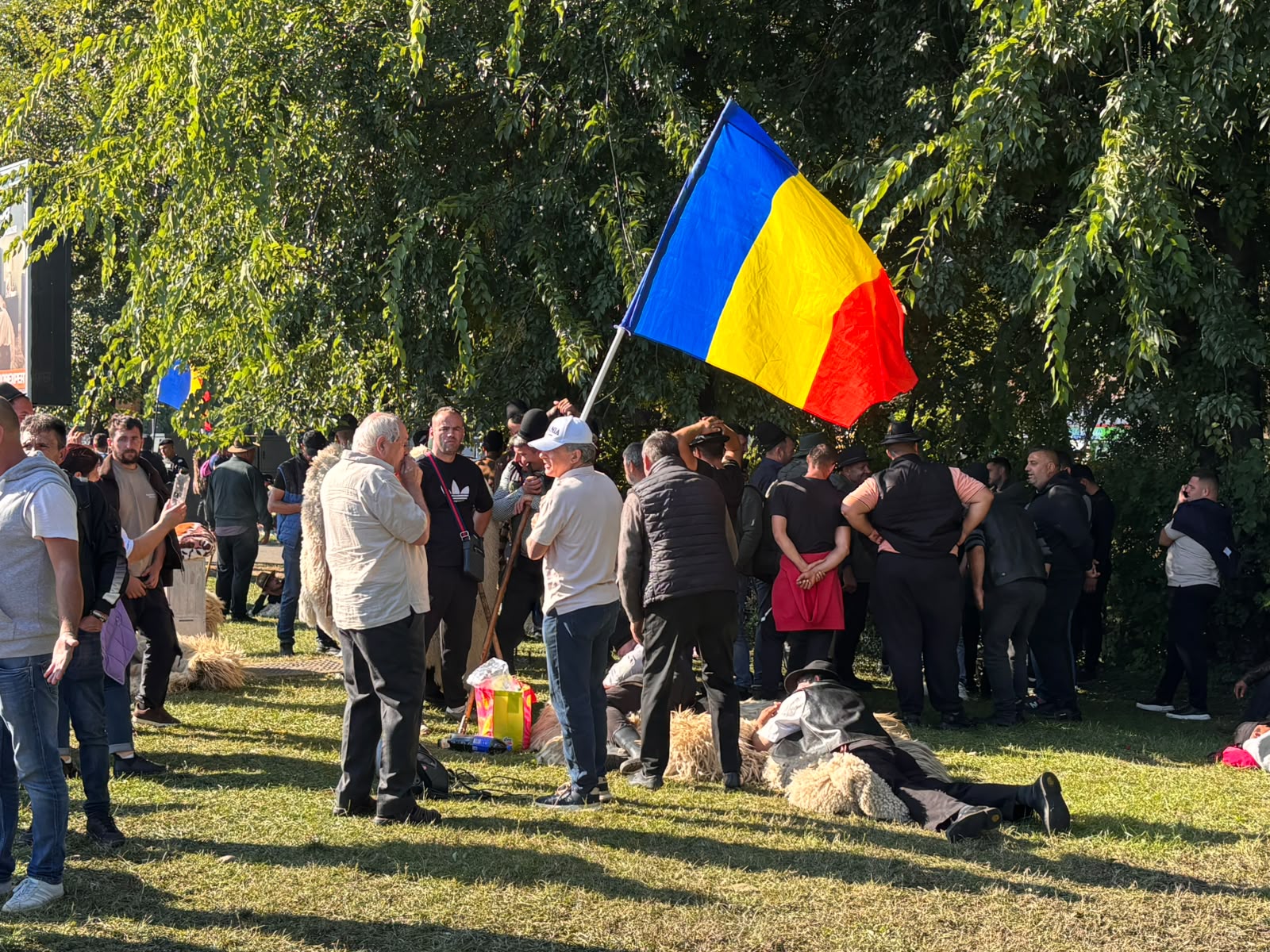 Proteste în Piața Victoriei: Ciobanii cer redeschiderea exporturilor și oprirea sacrificării animalelor