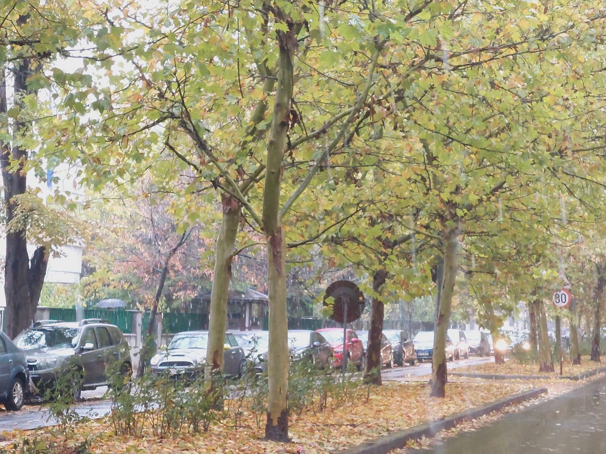 Cod galben pentru ploi abundente în sudul României și schimbări bruște de temperatură în București